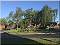 Roundabout by Castle Boulevard, Lenton