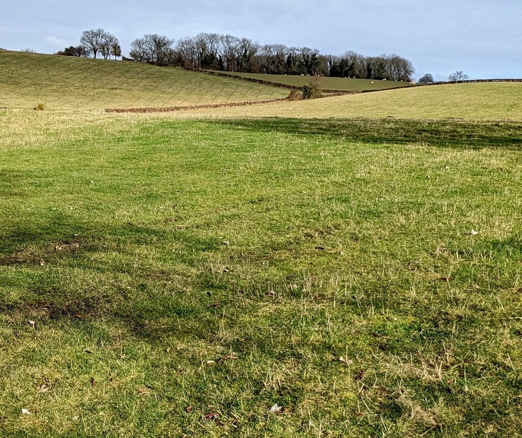 distant-deciduous-trees-bishton-jaggery-cc-by-sa-2-0-geograph