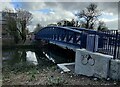 Abbey Park Road Footbridge