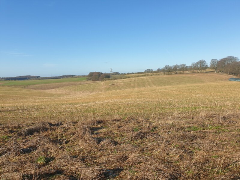 Field west of Nuthanger Down © Oscar Taylor cc-by-sa/2.0 :: Geograph ...