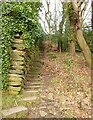 Steps on Footpath 49/1 in Sutcliffe Wood, Hove Edge