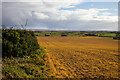 Arable field near Deane