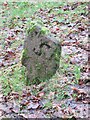 Old Boundary Marker in Stoodley Wood, Todmorden