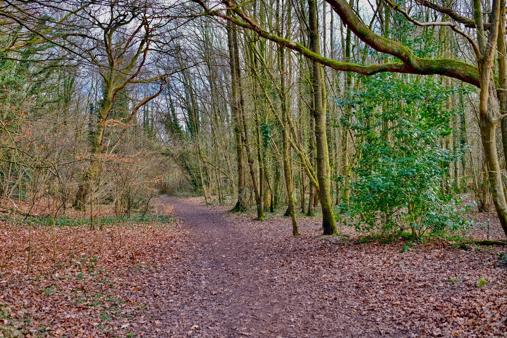 Along the Bollin (2) © Anthony O'Neil cc-by-sa/2.0 :: Geograph Britain ...