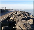 Sheppey - View along coastal path near Cheyney Rock