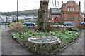 Garden on Church Row, Kirkcudbright