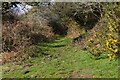 Footpath to Botrea ascends