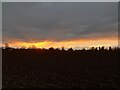 Ploughing at sunset