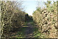 Footpath to Sandyhurst Farm