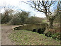 Bridge over The Rye Brook, Ashtead Common