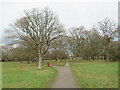 Paths on Wood Field, Ashtead