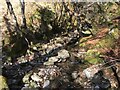 Small stream above Kinlochleven