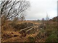 Footbridge leading to Hatfield Moor