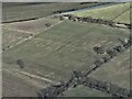 Cropmarks of retting pits NW of Blyton: aerial 2023 (1)