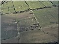 Cropmarks of retting pits NW of Blyton: aerial 2023 (2)