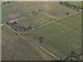 Cropmarks of retting pits NW of Blyton: aerial 2023 (5)