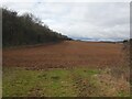 Fields at Firgo Farm