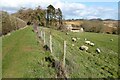 Footpath passing Ebrington Hill Farm