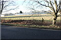 Greenhouses by Tempsford Road, Blunham