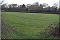 Sloping field near Farthing Street