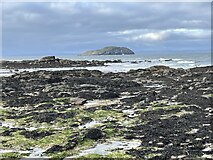 NT5685 : Rocky Shore at Milsey Bay in North Berwick at Low Tide by Jennifer Petrie