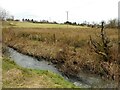 Tributary of the Park Burn