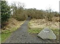 Path into Boghead Wood