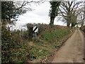 Llwybr yn gadael yr heol / Path exiting the road