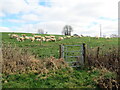 Llwybr cyhoeddus ger Llwynypiod / Public footpath near Llwynypiod