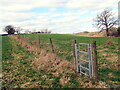 Llwybr Eglwys Llangynin / Llangynin Church path