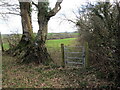 Llwybr Eglwys Llangynin / Llangynin Church path