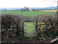 Llwybr Llangynin / Llangynin path