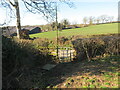 Llwybr Manor Farm / Manor Farm path