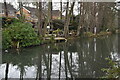 Gardens beside the Basingstoke Canal at Fleet