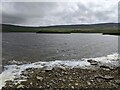 HY3933 : Loch of Wasbister shoreline by David Medcalf