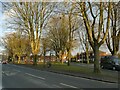 Green space off Lairgate, Beverley