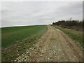 Farm track to Westfield Farm