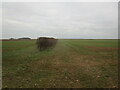 Field boundary near Cranwell