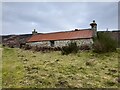 Rusty Roof