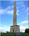 ST1317 : A reburbished Wellington Monument by Marika Reinholds
