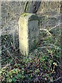 Milestone Jackaments Bottom near Kemble 2006