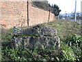 A stone fish near Stonehouse