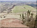 East ridge of Tynron Doon