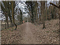 Public footpath 3391, Tilgate Park, Crawley