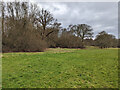 Northern margins of Tilgate Park, Crawley