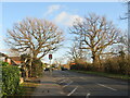 TQ2063 : Chessington Road, West Ewell by Malc McDonald