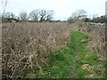 Llwybr cyhoeddus / public footpath, Waunfawr