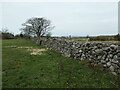 Wal gerrig sychion / drystone wall, Waunfawr