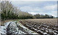 Public footpath alongside ploughed field