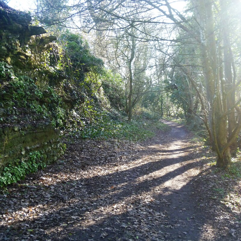 A Walk Around The Walls Of Calleva... © Michael Dibb Cc-by-sa/2.0 ...